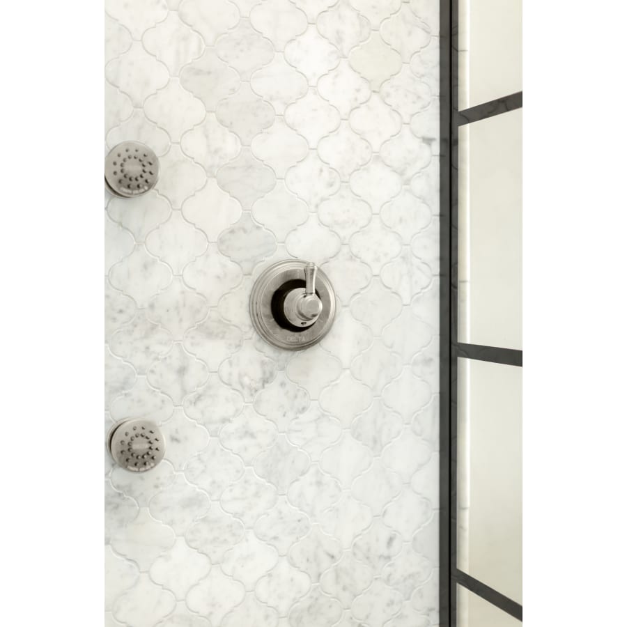 delta-h597-alternate-view-170 delta-h597-alternate-view-170