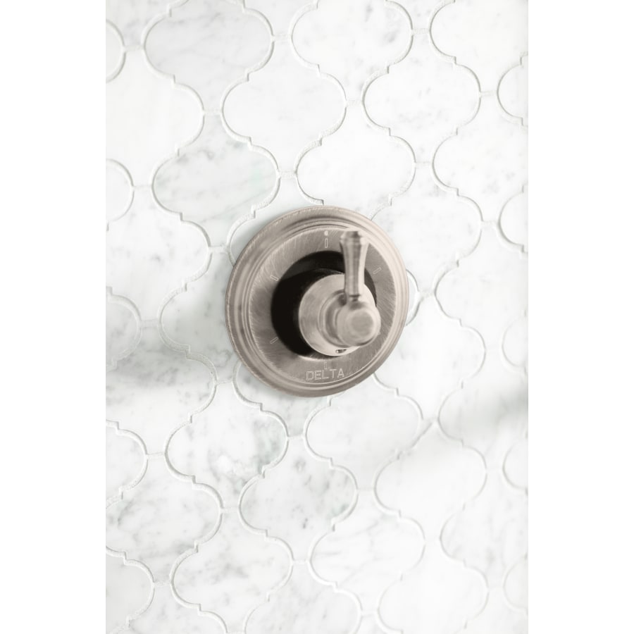 delta-h597-alternate-view-171 delta-h597-alternate-view-171