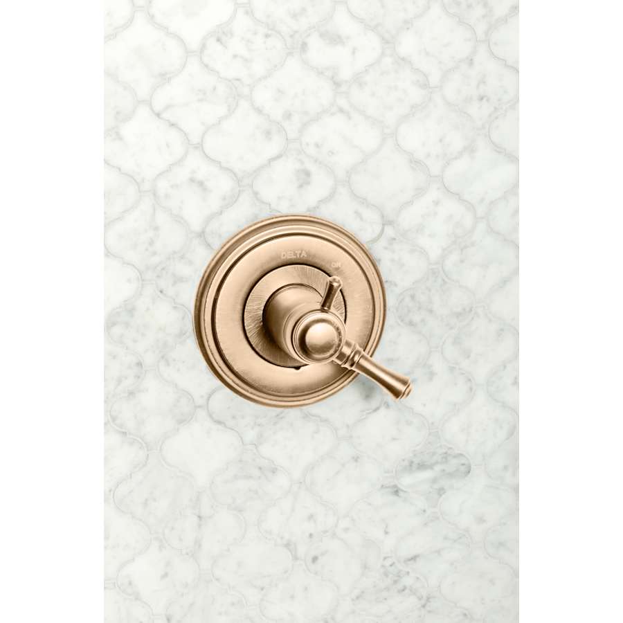 delta-t17t097-alternate-view-338