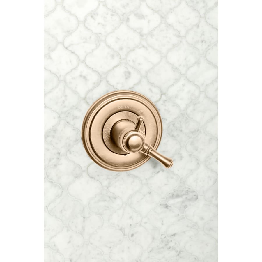 delta-t17t097-alternate-view-338 delta-t17t097-alternate-view-338