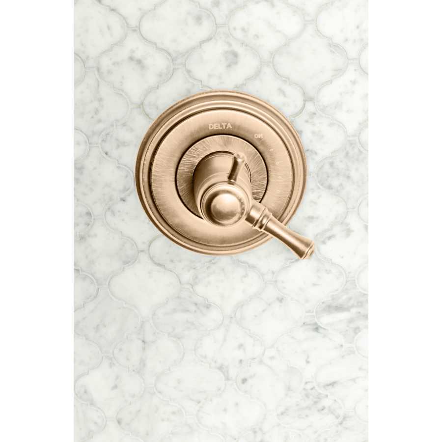 delta-t17t097-alternate-view-339