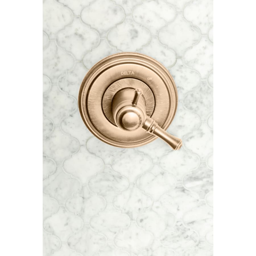 delta-t17t097-alternate-view-339 delta-t17t097-alternate-view-339