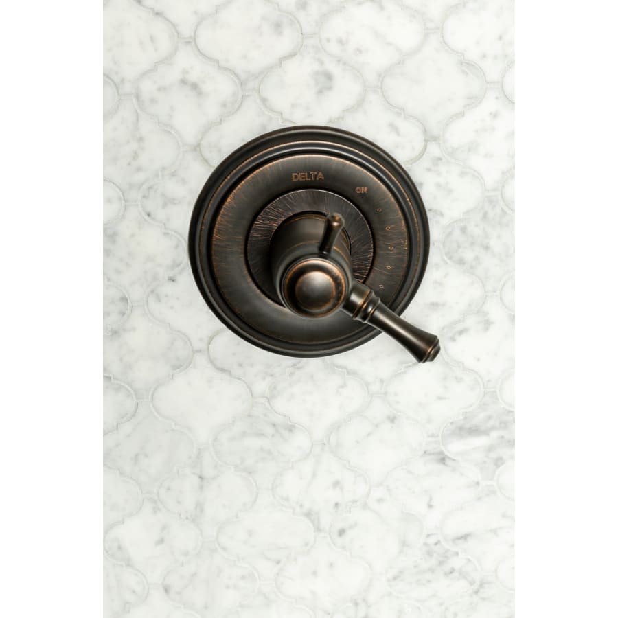 delta-t17t097-alternate-view-343 delta-t17t097-alternate-view-343