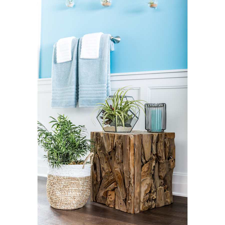 spring2017catalogcover-0553