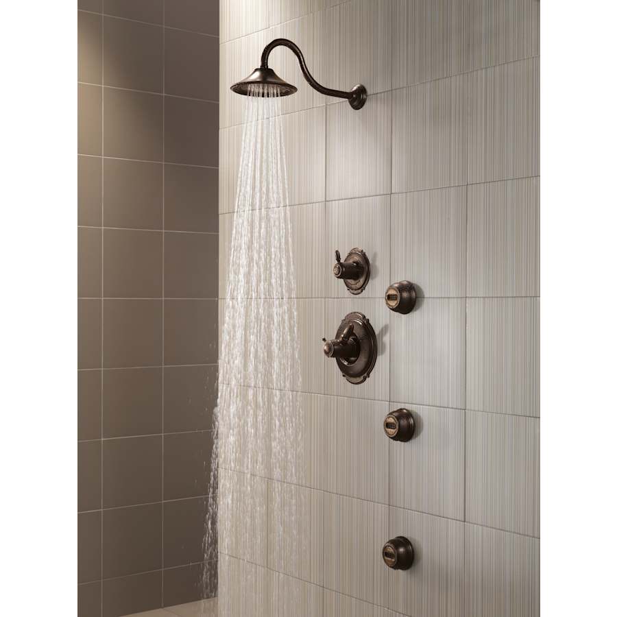 victorian_custom_shower_t17t055-rb_rp34355rb_rp61273rb_rp34356rb_t11955-rb_t50001-rb_water_01