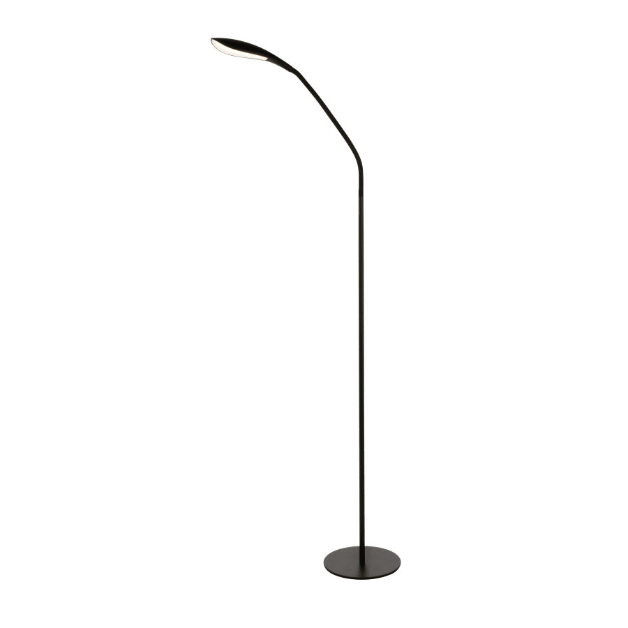 Tall gooseneck lamp outlet