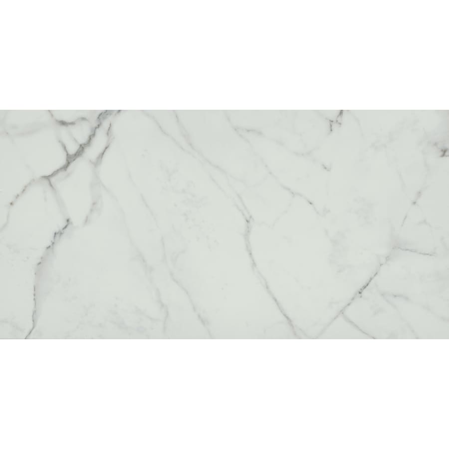 Emser Tile A86PARKAS2447P Parkview - 24