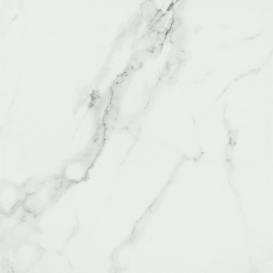 emser-tile-f15contda1818-2276423