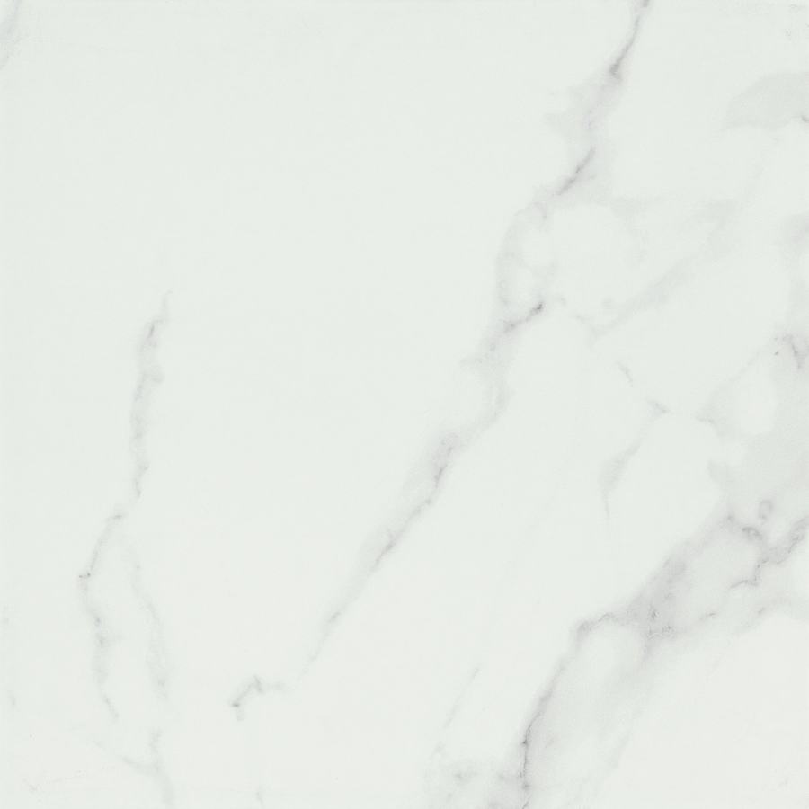emser-tile-f15contda1818-plt-1673701