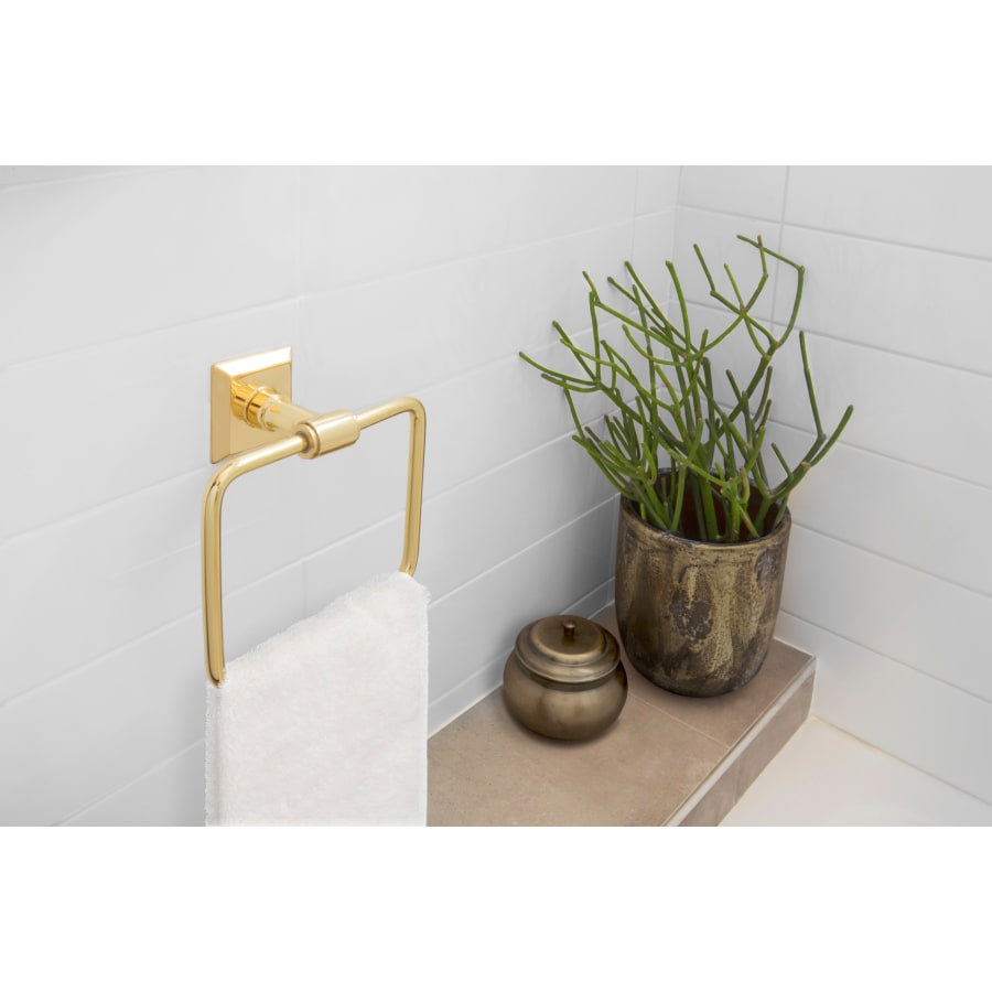 emtek-2901-installed-in-the-bathroom-4 emtek-2901-installed-in-the-bathroom-4