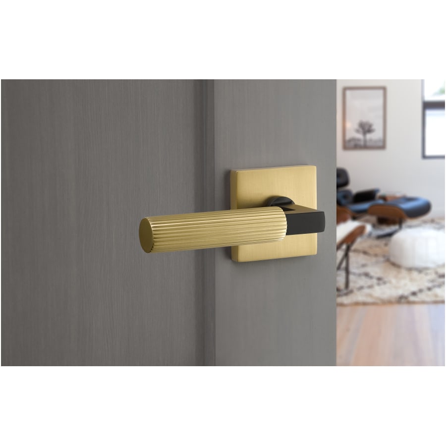 emtek-c520sk-lifestyle-6 emtek-c520sk-lifestyle-6