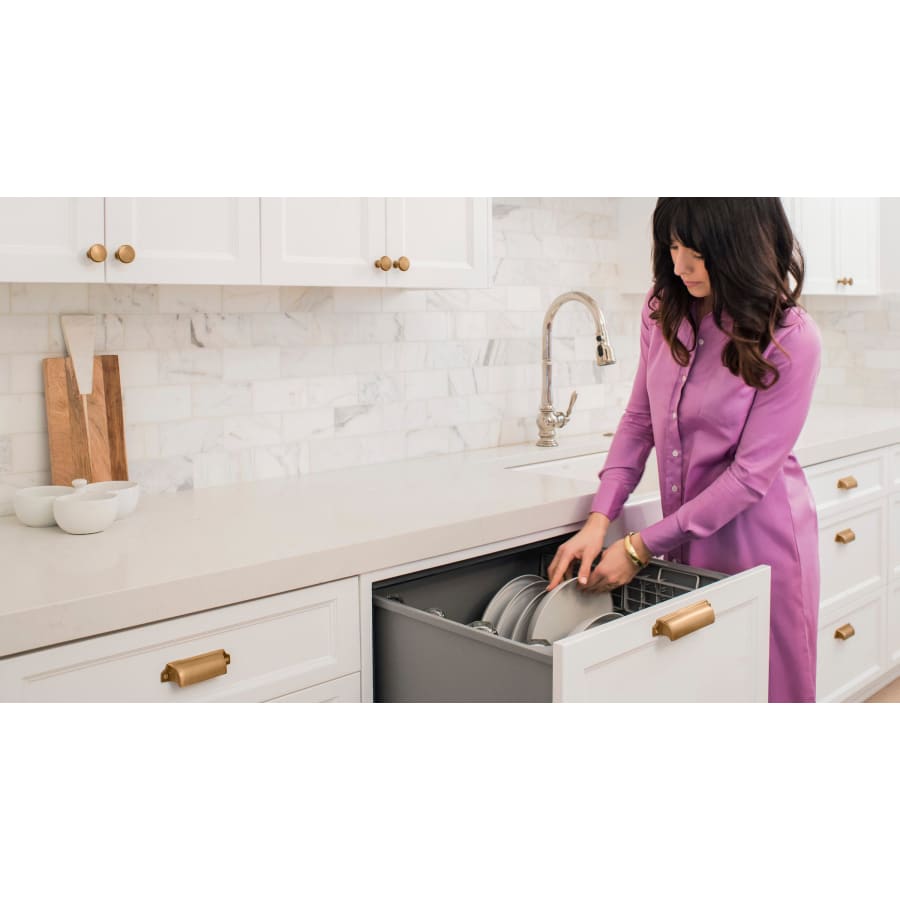 fisher-and-paykel-dd24dti9-n-lifestyle-395 fisher-and-paykel-dd24dti9-n-lifestyle-395