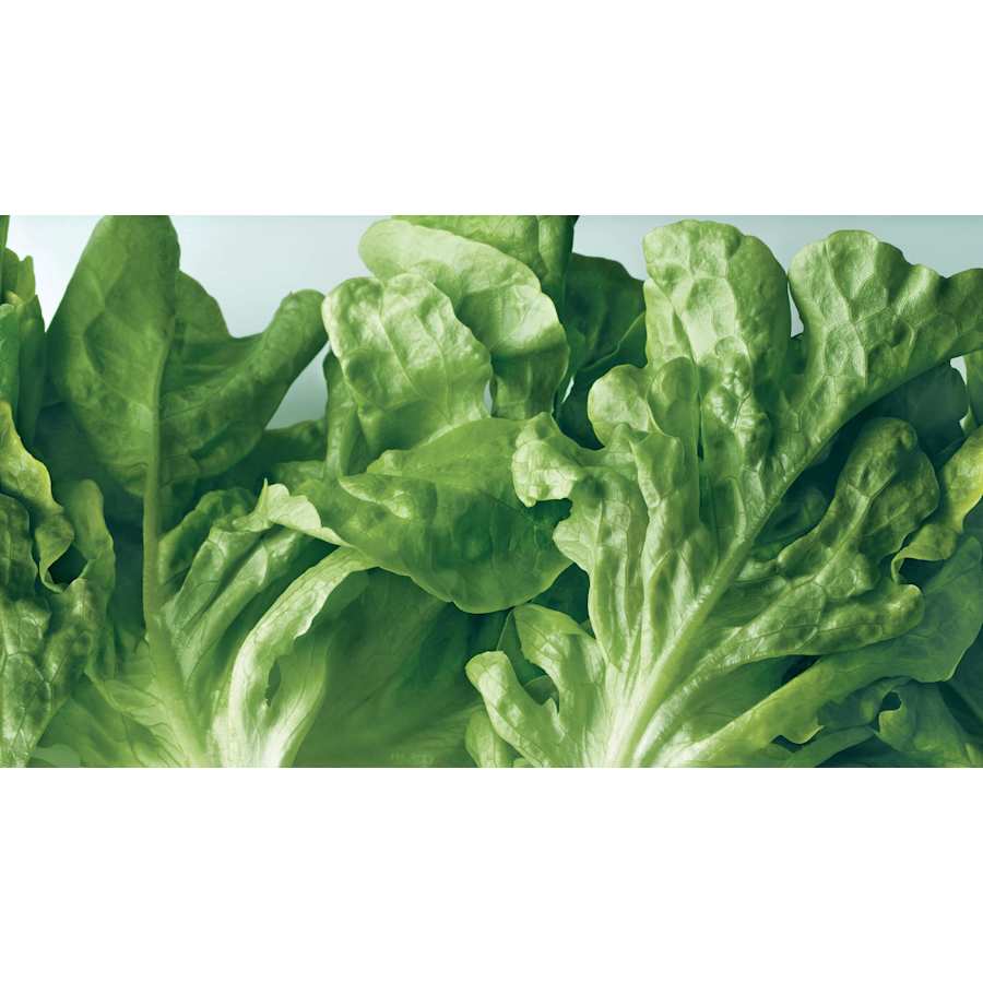 fisher-and-paykel-rf170wdlx5-n-a-content-image-1430