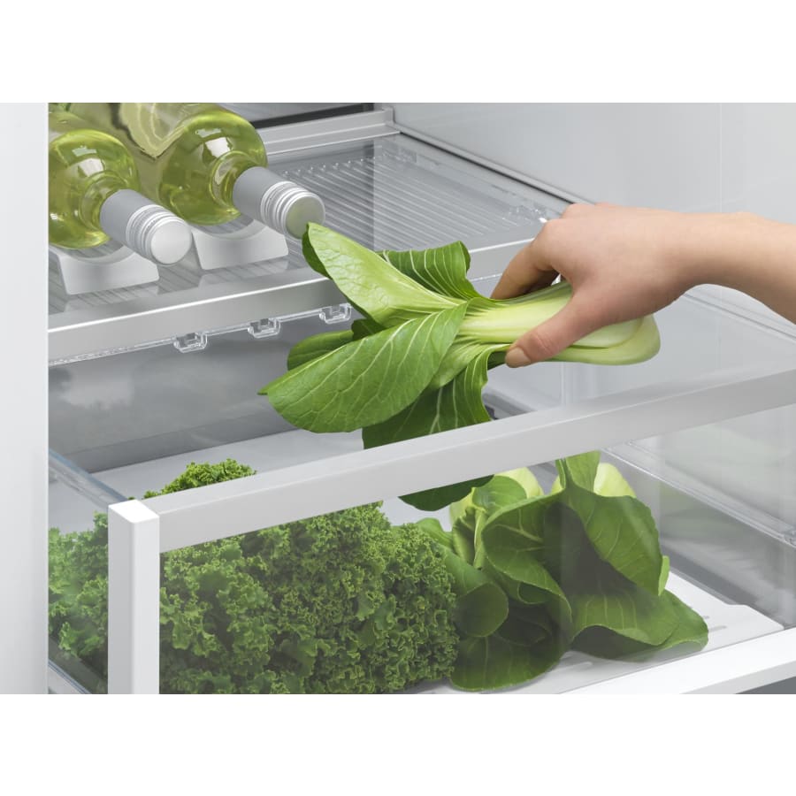 Fisher and Paykel RS2474BRU1 Series 9 24 Inch Wide 10.7 Cu Fisher and Paykel RS2474BRU1 Series 9 24 Inch Wide 10.7 Cu