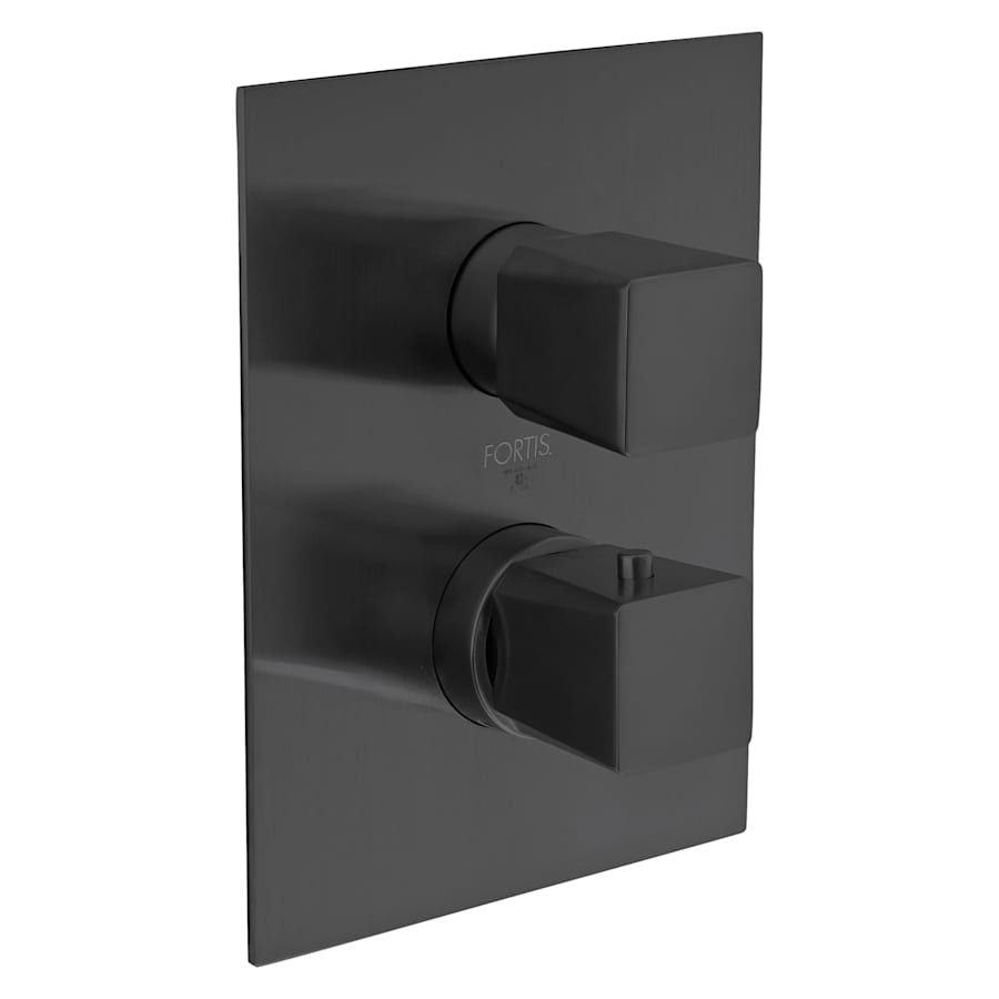 fortis-9469100bb-5468866