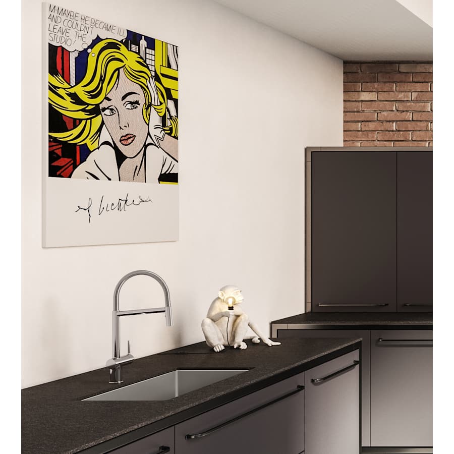 franke-act-sp-alternate-image-3