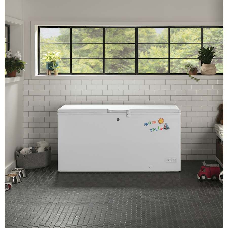 ge-fcm16l-alternate-image-25