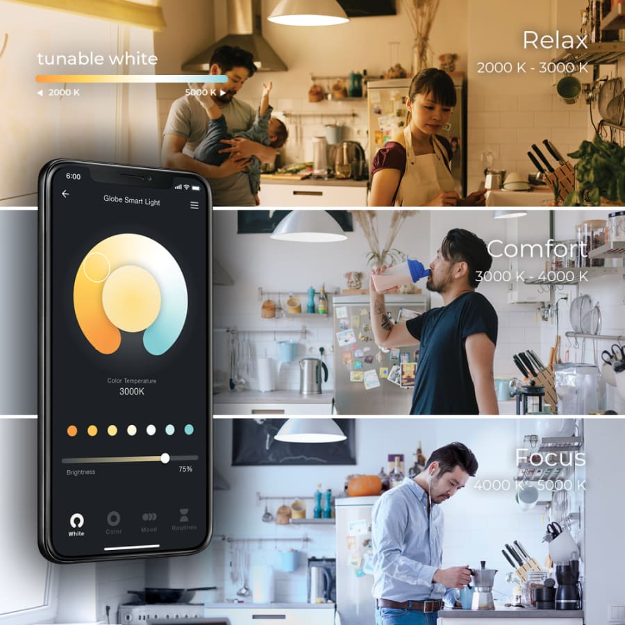Globe a19 on sale