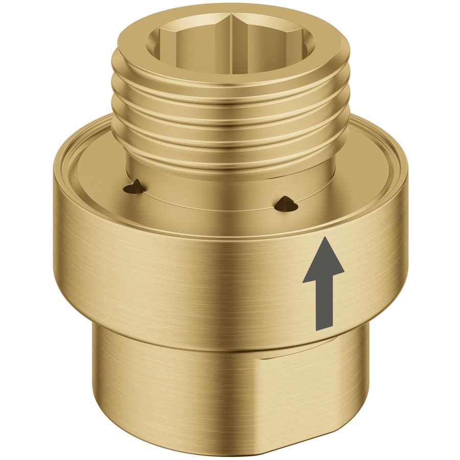 Grohe Universal 1/2" Brass Vacuum Breaker Brushed Cool Sunrise