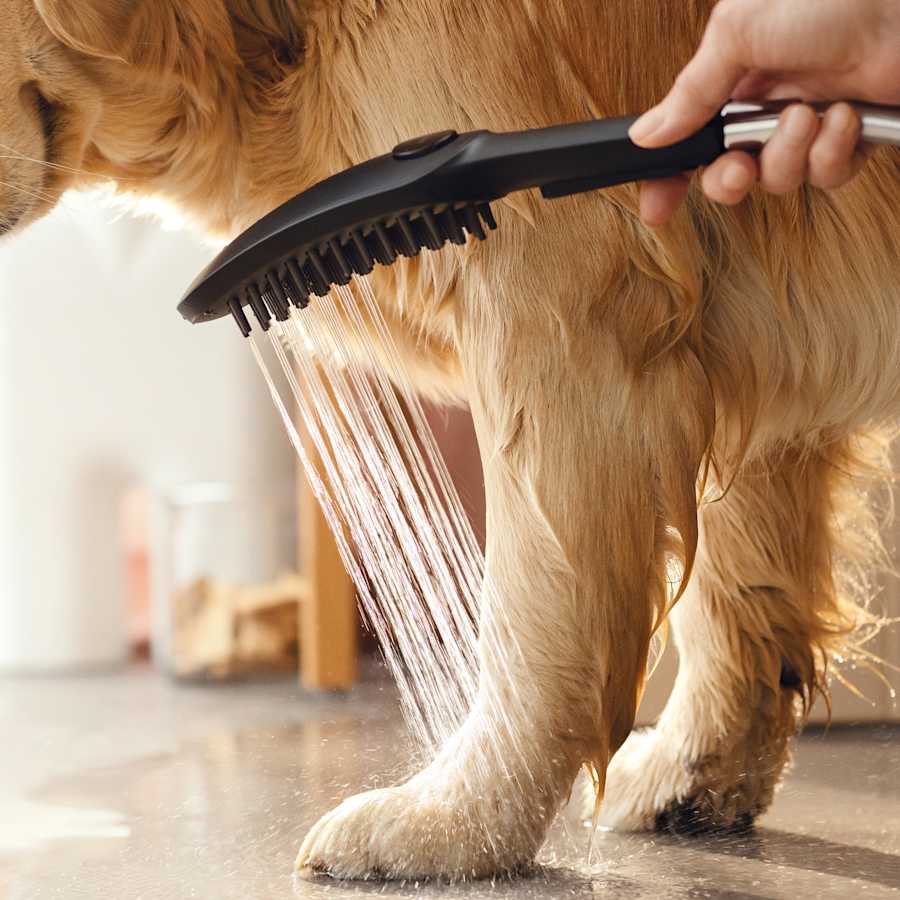 tcvkvywf1otdv6gbywru