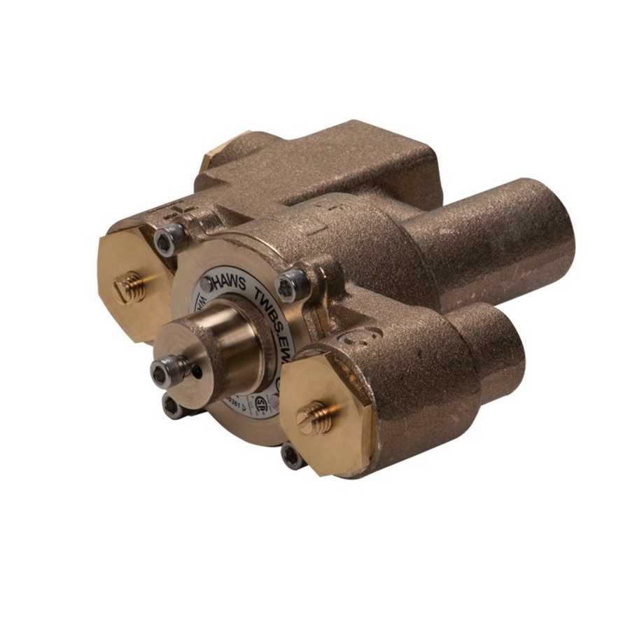 haws-twbs-ewe-6543237