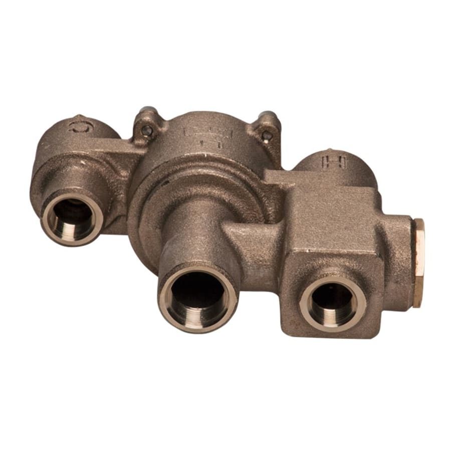 haws-twbs-ewe-back-view-15 haws-twbs-ewe-back-view-15