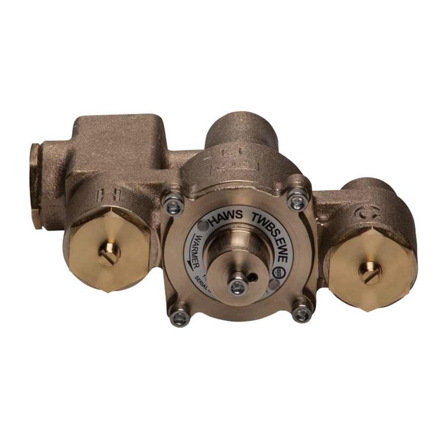 haws-twbs-ewe-front-view-12