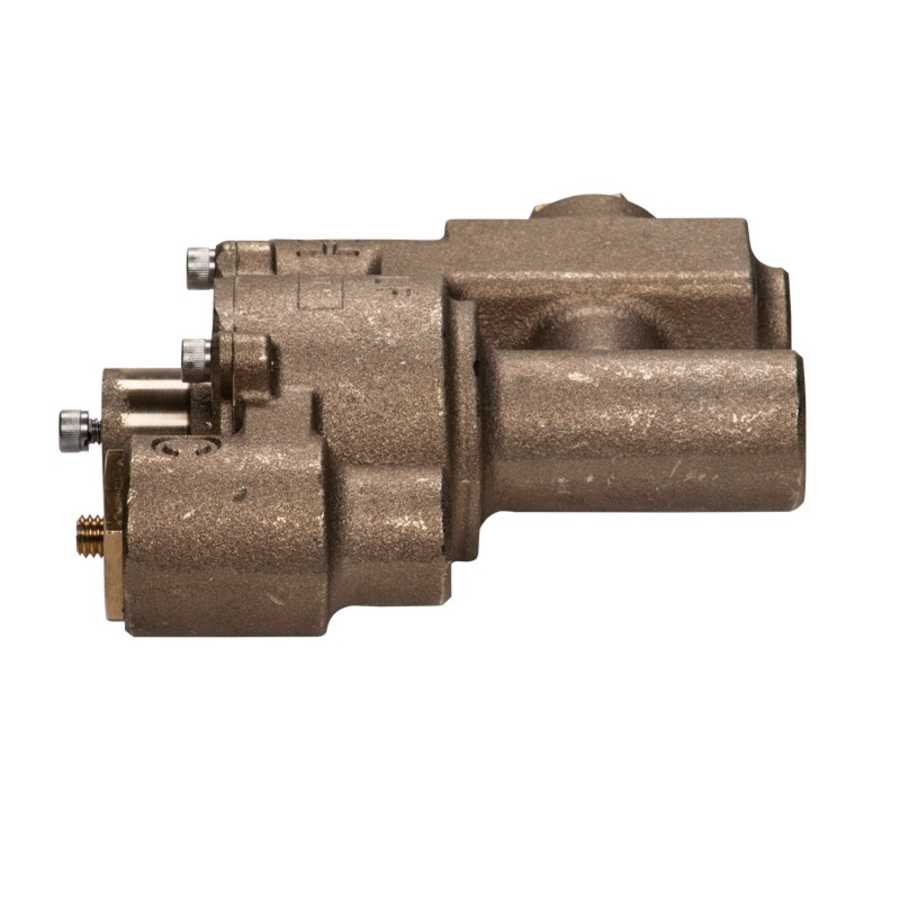 haws-twbs-ewe-side-view-13