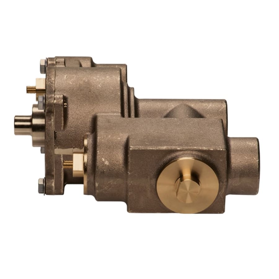 haws-twbs-she-side-view-21 haws-twbs-she-side-view-21