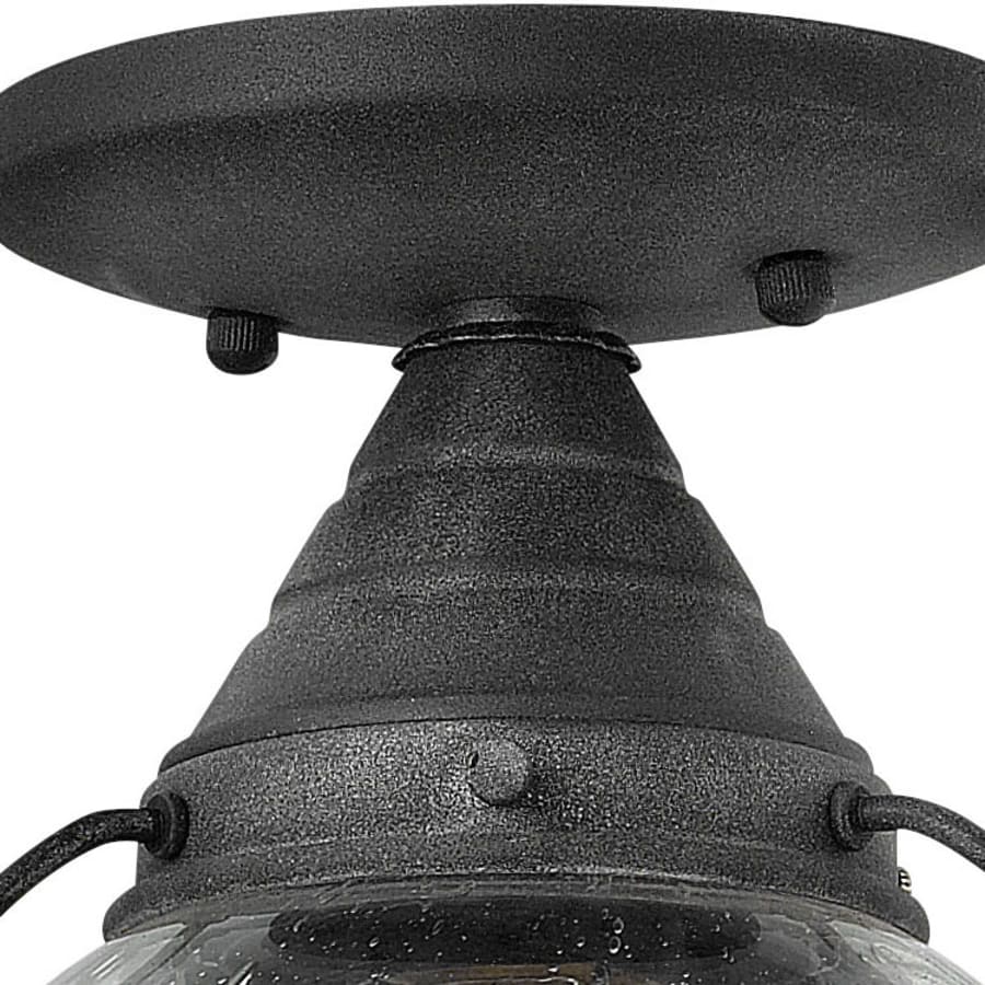 Alternate View