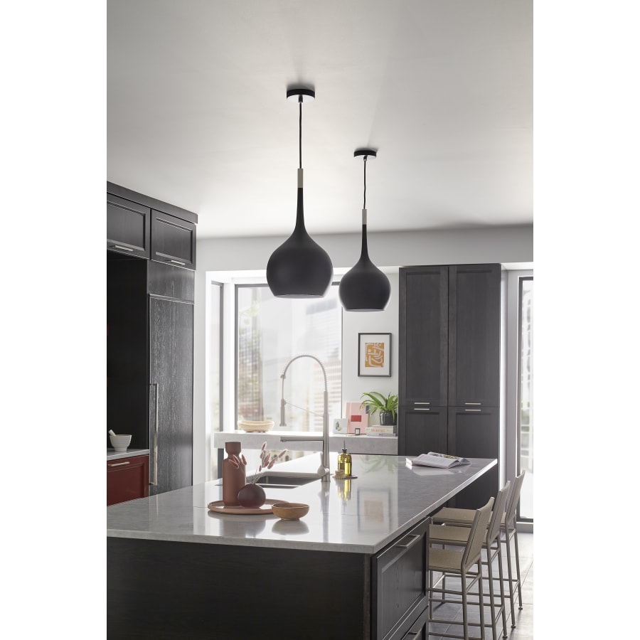 Hinkley Lighting 4457HB-CL Ziggy Single Light 12