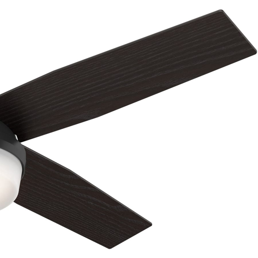 Hunter 59251 Dempsey Fan Blade Finish 1