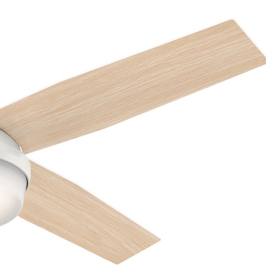 Hunter 59252 Dempsey Fan Blade Finish 2