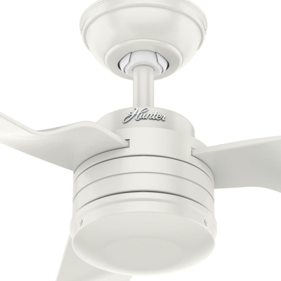 Hunter Cabo Frio Outdoor Ceiling Fan 52"