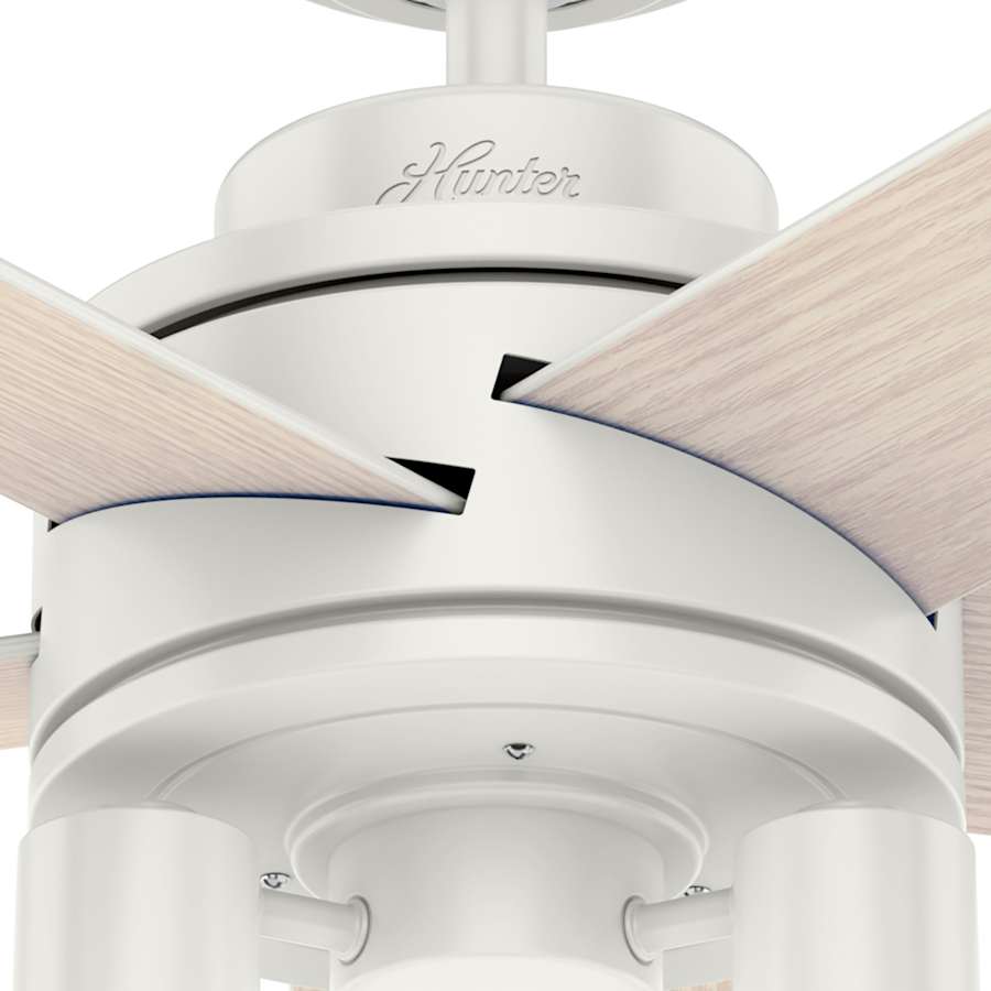 hunter-hardwick-52-led-alternate-image-240