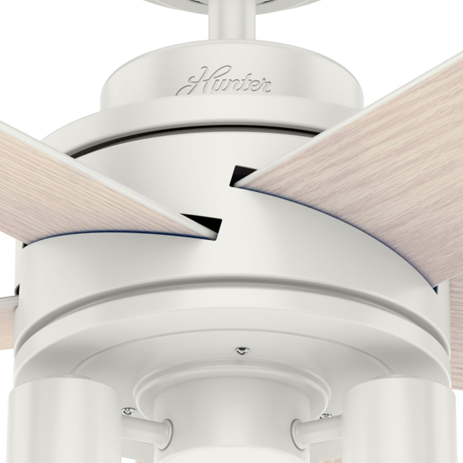 hunter-hardwick-52-led-alternate-image-240 hunter-hardwick-52-led-alternate-image-240