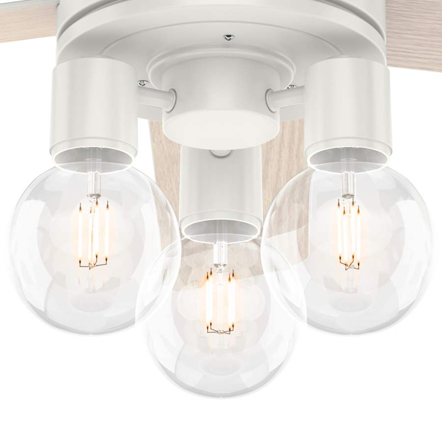 hunter-hardwick-52-led-alternate-image-241