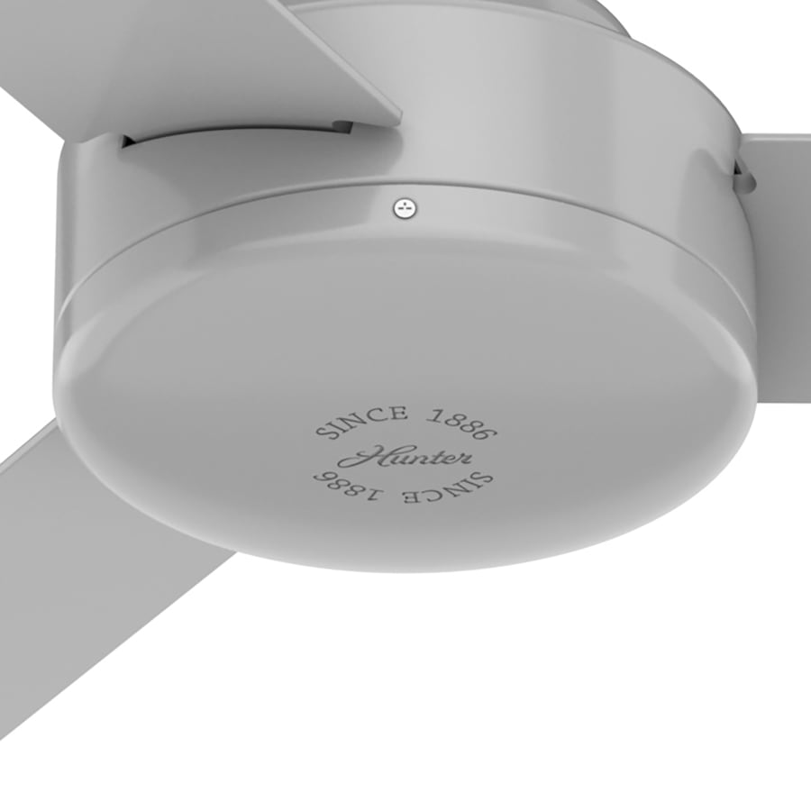 Alternate Image