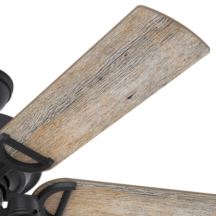 Blade View