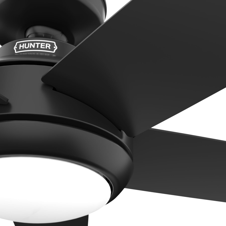 Hunter 51696 Zayden 52