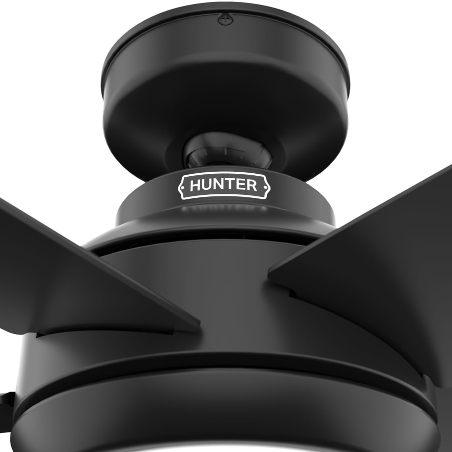 Hunter 51696 Zayden 52