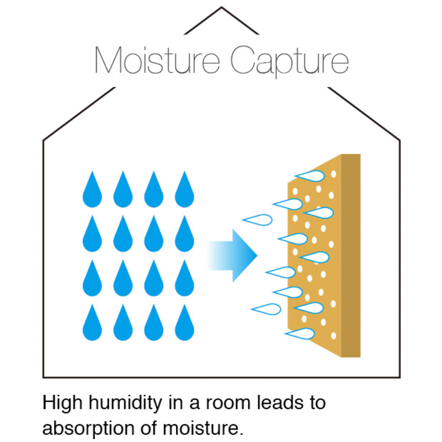 moisturecapture_edited moisturecapture_edited