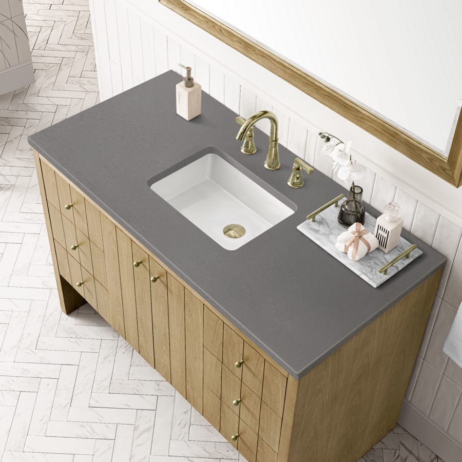 James Martin Vanities 435-V48-LNO-3GEX Hudson 48