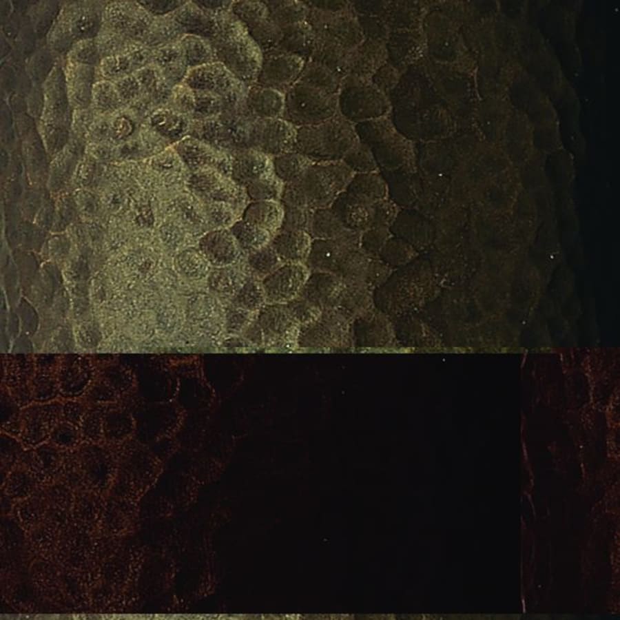 Hammered Brass