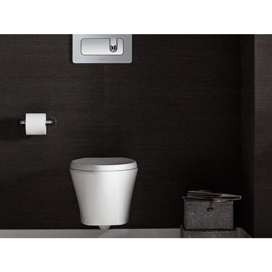 kallista-p70364-00-application-view-70_1 kallista-p70364-00-application-view-70_1