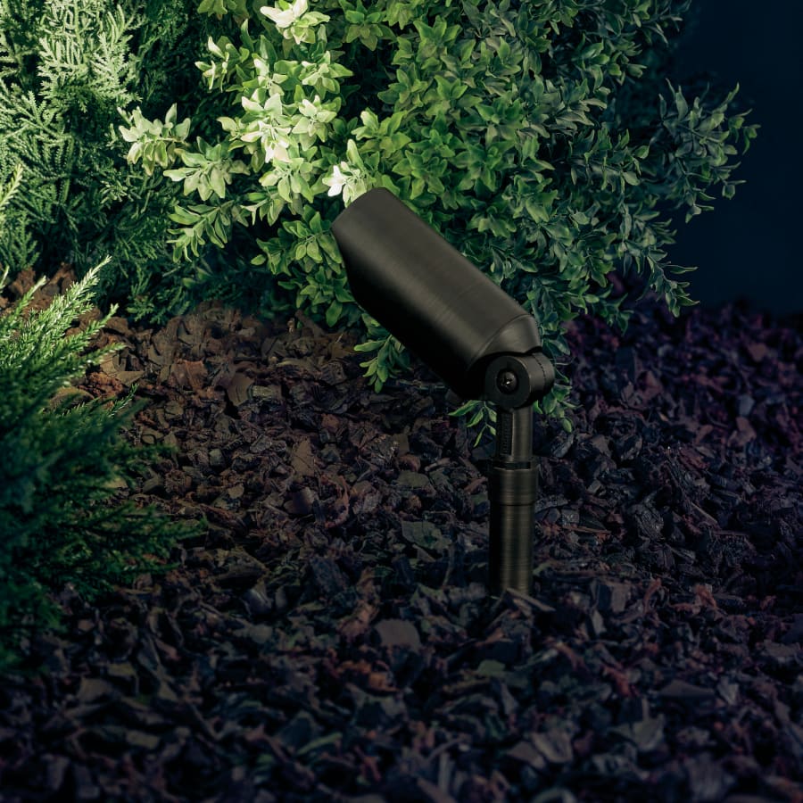 Alternate Image