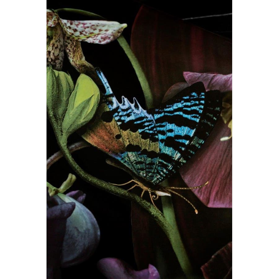 kohler-30334-dm2-imagegallery5 kohler-30334-dm2-imagegallery5