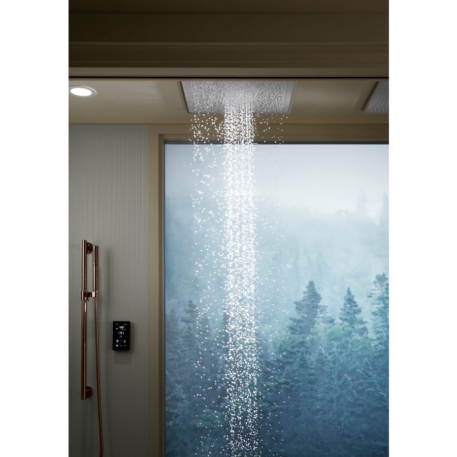 Kohler K-31110-G-58 Real Rain 19
