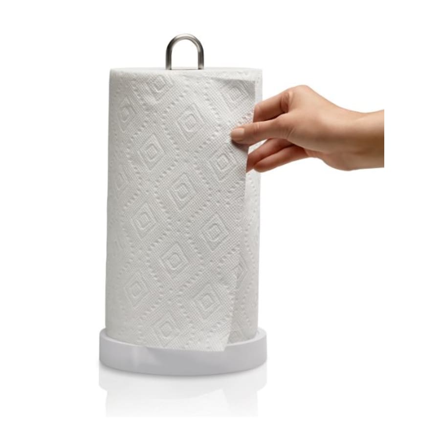 Forte Wall-Mount Paper Towel Holder