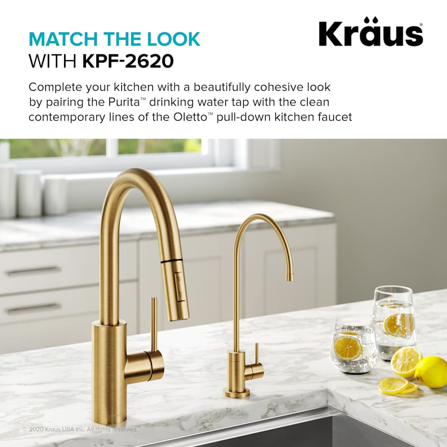 kraus-ff-100-alternate-image-811